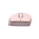 Мишка Canyon OnClick 20 Wireless Pink (CNE-CMSW20P) Мишка Canyon OnClick 20 Wireless Pink (CNE-CMSW20P)
