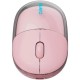 Мишка Canyon OnClick 24 Wireless Pink (CNS-CMSW24P) Мишка Canyon OnClick 24 Wireless Pink (CNS-CMSW24P)