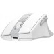 Мишка A4Tech FG35C Plus Wireless White (4711421002974) Мишка A4Tech FG35C Plus Wireless White (4711421002974)