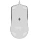 Мишка A4Tech FM50 Plus USB White (4711421002738)