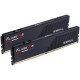 Модуль пам'яті для комп'ютера DDR5 48GB (2x24GB) 5200 MHz Flare X5 G.Skill (F5-5200J4040A24GX2-FX5)