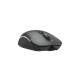 Мишка A4Tech FM26 USB Smoky Grey (4711421991537)