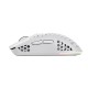 Мишка Trust GXT 929 Helox Wireless/USB-A White (25390)