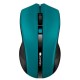 Мишка Canyon MW-5 Wireless Green-Black (CNE-CMSW05G)