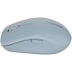 Мишка Canyon MW-12 Wireless/Bluetooth Blue (CNS-CMSW12BL)