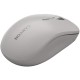 Мишка Canyon MW-12 Wireless/Bluetooth Grey (CNS-CMSW12DG)