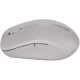 Мишка Canyon MW-12 Wireless/Bluetooth Grey (CNS-CMSW12DG)