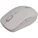 Мишка Canyon MW-12 Wireless/Bluetooth Grey (CNS-CMSW12DG)