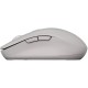 Мишка Canyon MW-12 Wireless/Bluetooth Grey (CNS-CMSW12DG)