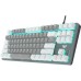 Клавіатура Aula F3287 Keycap KRGD Blue USB UA Grey/White (6948391240954)