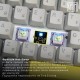 Клавіатура Epomaker EP84 Plus 75 Wisteria Linear Switch Hot-Swap RGB Wireless/Bluetooth/USB UA White